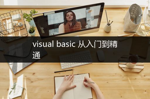 visual basic 从入门到精通